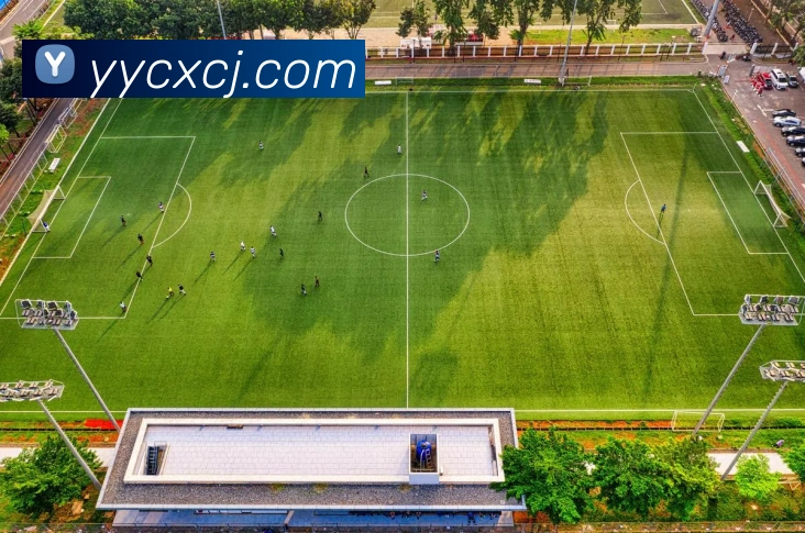 kaiyunAPP 封面图